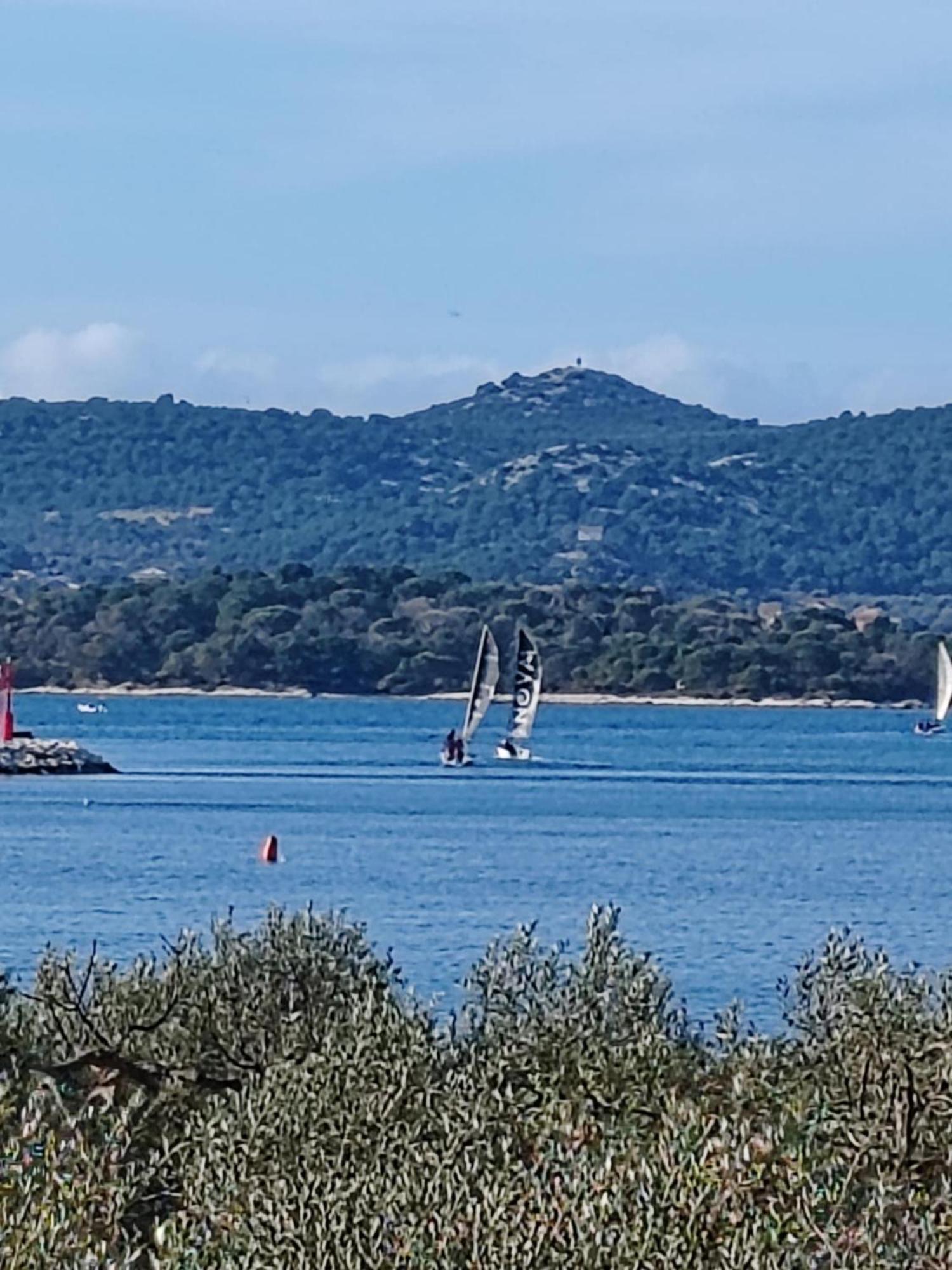 Apartments Bosana XIV Biograd Na Moru Eksteriør bilde